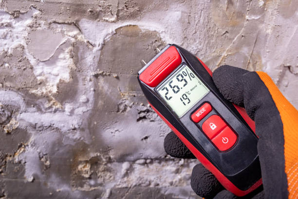Best Crawl Space Mold Removal  in Cincinnati, OH